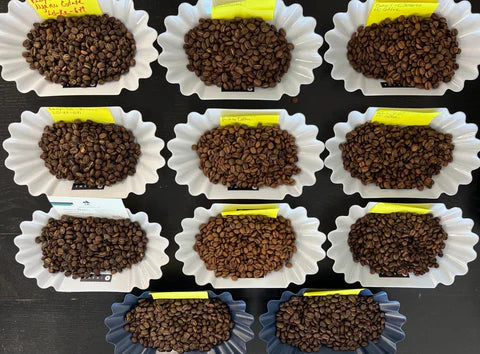 A Guide to Coffee Cupping